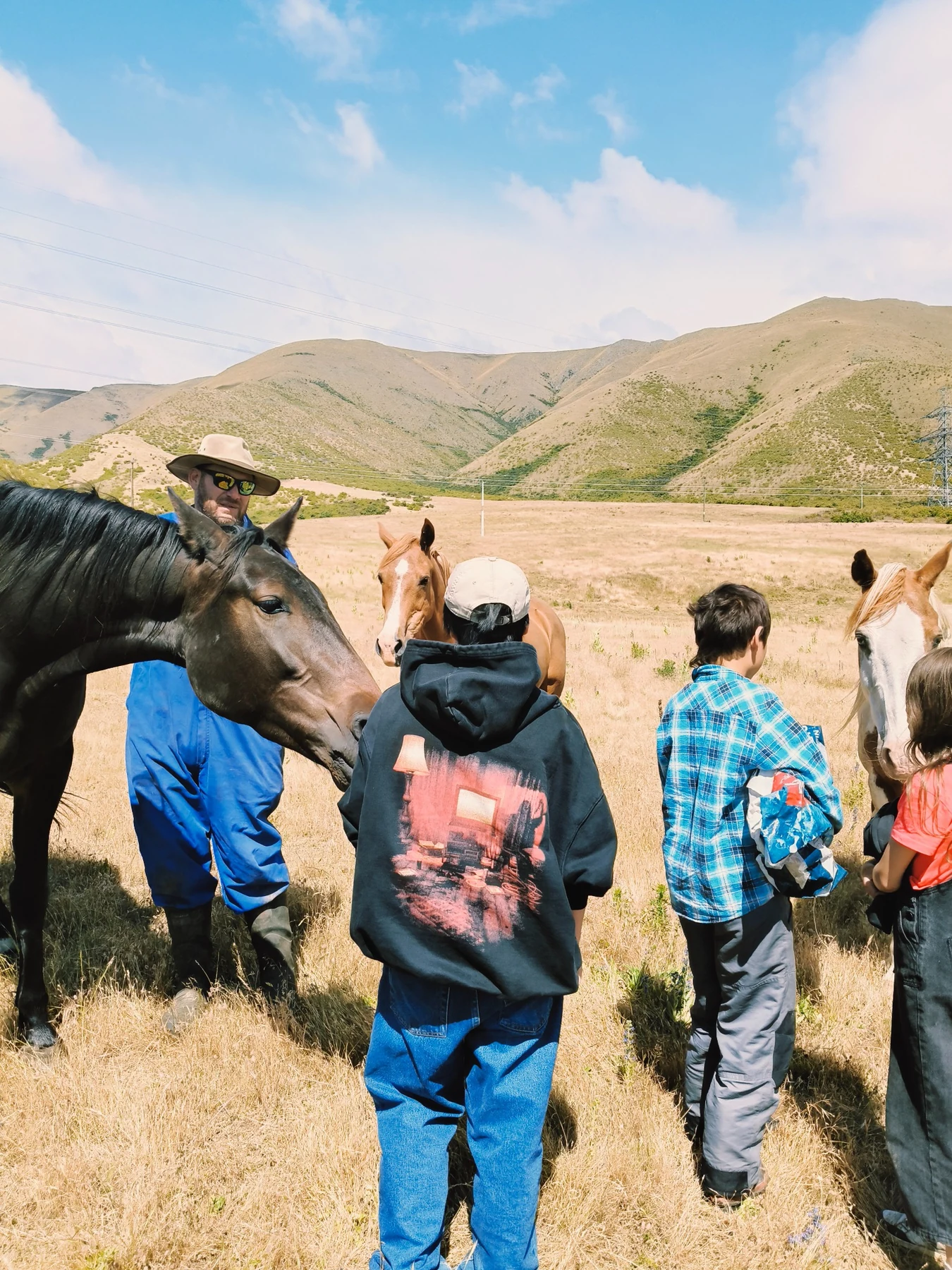 Visitors encountering horses in an open landscape