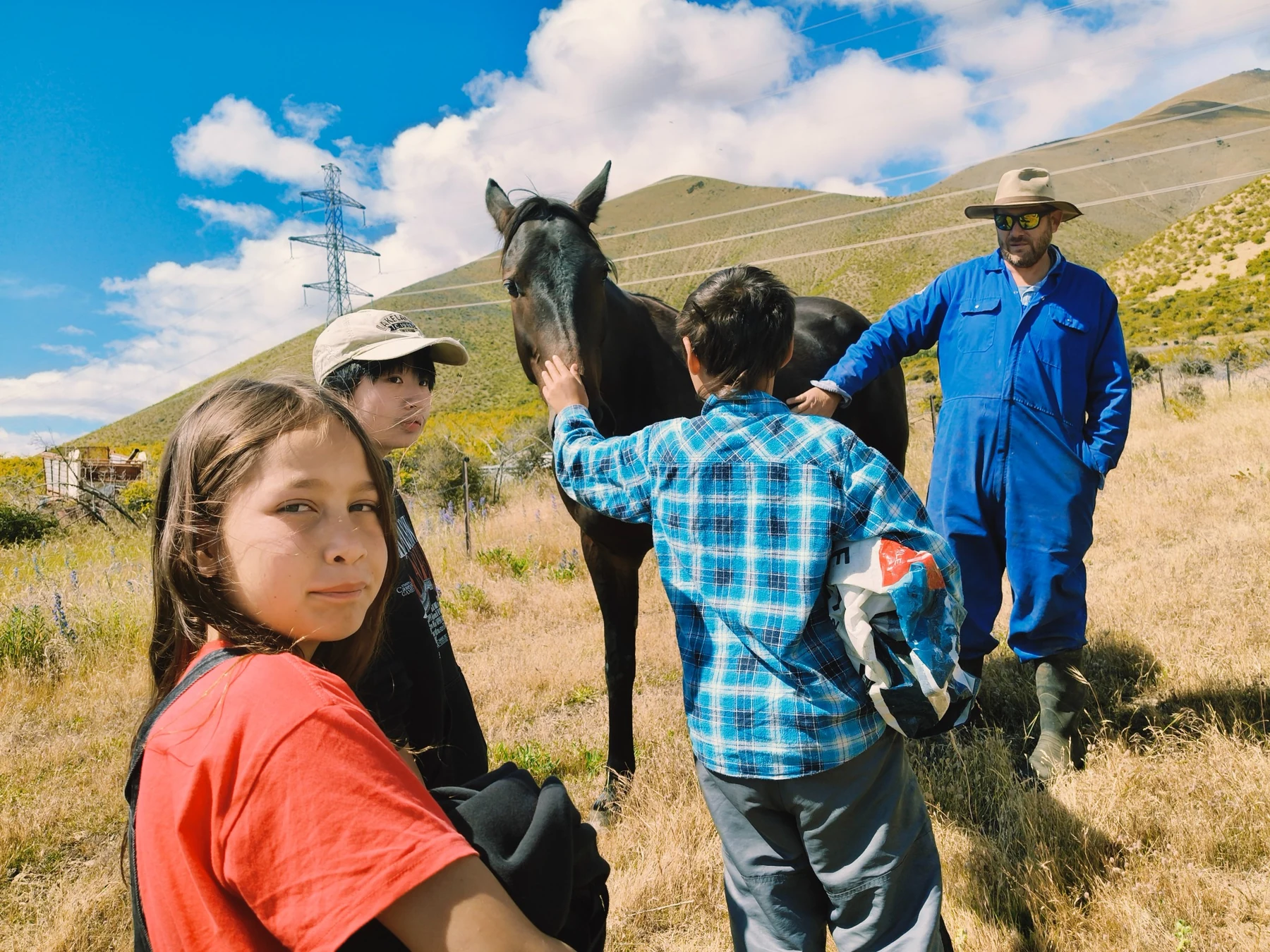 Visitors meeting horses in the high-country landscape