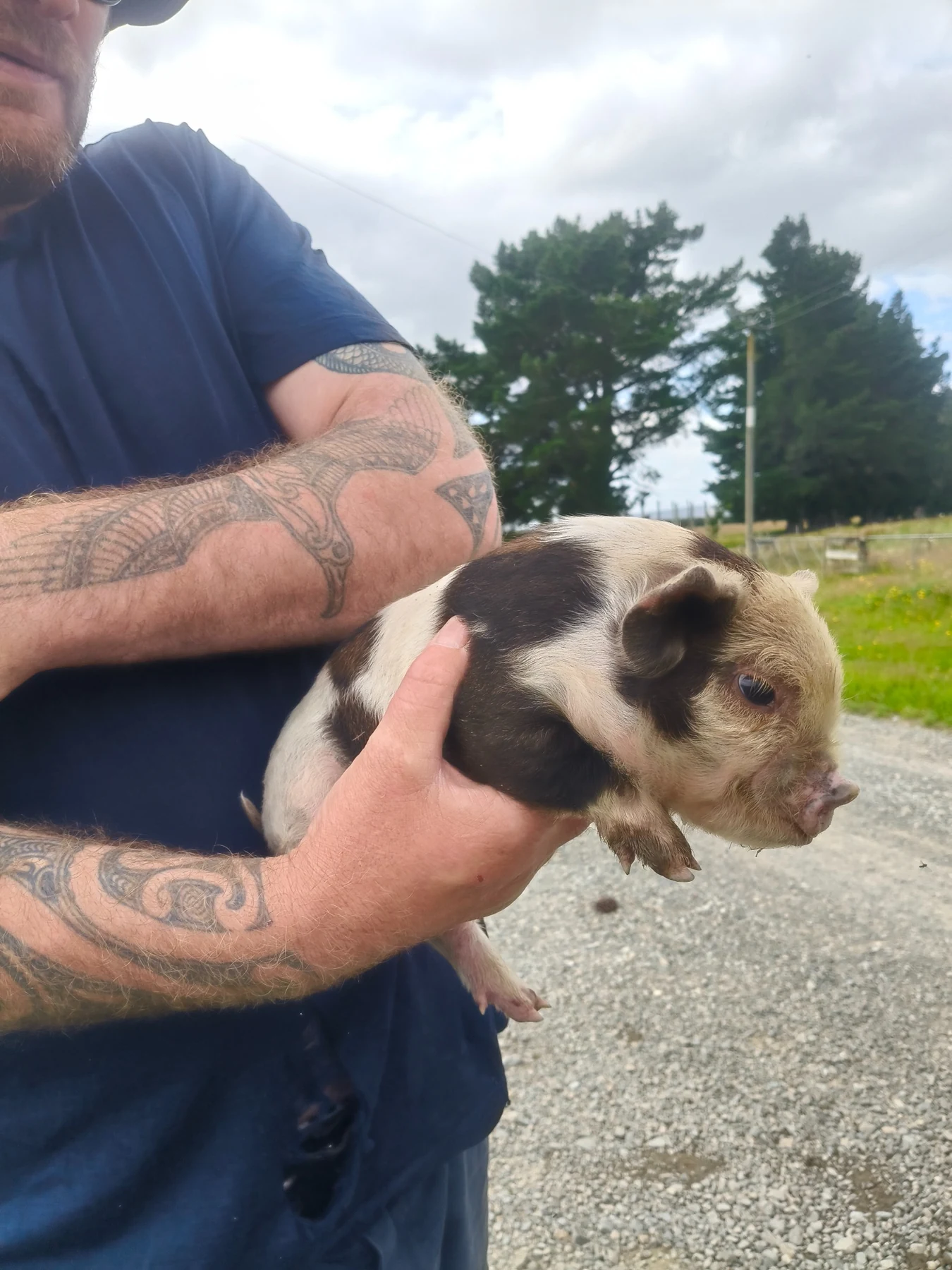 Two visitors holding piglets on a farm visit